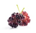 Ripe organic Mulberry fruits Royalty Free Stock Photo