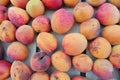 Ripe organic orange apricots packed in a wooden crate Royalty Free Stock Photo