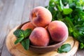 Ripe organic peaches in ceramic bowl on wooden rustic table Royalty Free Stock Photo