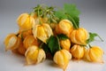 Ripe organic physalis on the table