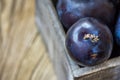 Ripe organic red plums in vintage wood box on garden table, top view, vibrant colors, fall, harvest