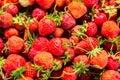 Ripe organic strawberry background.
