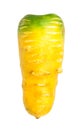 Ripe organic uzbek yellow carrot isolated Royalty Free Stock Photo