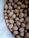 Ripe organic walnuts in paper bag