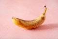 Ripe overripe organic bananas on concrete background. ugly food zero waste concept