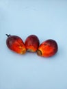 Ripe palm fruit that is orange in color with reddish