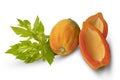 Ripe papaya slice isolated on white background Royalty Free Stock Photo