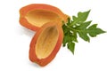 Ripe papaya slice isolated on white background Royalty Free Stock Photo