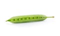 Ripe pea vegetable with green leaf isolated Royalty Free Stock Photo