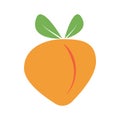 Ripe peach fruit green leaves, vector cartoon soft, juicy fleshy berry, peach tree fruit, cute delicious juicy berry