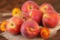 Ripe Peach Fruits Still Life Royalty Free Stock Photo