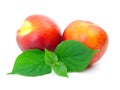 Ripe peach with leaves Royalty Free Stock Photo