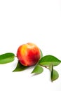 Ripe peach with leaves isolated on a white background Royalty Free Stock Photo