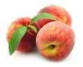 Ripe peaches