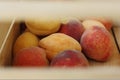 Ripe peaches and apricots in a wooden box Royalty Free Stock Photo