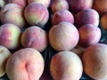 Ripe peaches in basket for sale farmers market Royalty Free Stock Photo
