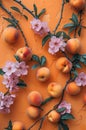 Ripe peaches and delicate pink blossoms artfully arranged on a textured orange wall Royalty Free Stock Photo