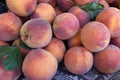 Ripe peaches, farmers market counter, harvest sale. Royalty Free Stock Photo