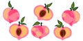 Ripe peaches and peach slices with pits Royalty Free Stock Photo