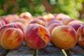 Ripe peaches in a row on a wooden table with vibrant colors and a blurry green background in daylight