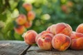 Ripe peaches in a row on a wooden table with vibrant colors and a blurry green background in daylight