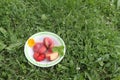 The ripe peaches and strawberry lying in a plate on a grass