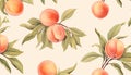 ripe peaches and their leaves in watercolor Royalty Free Stock Photo