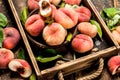 Ripe peaches on a tray. Royalty Free Stock Photo