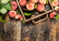 Ripe peaches on a tray. Royalty Free Stock Photo