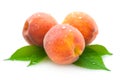 Ripe peaches Royalty Free Stock Photo