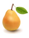 Ripe pear with leaf.