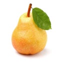 Ripe pear with leaf