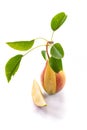 Ripe pear Royalty Free Stock Photo