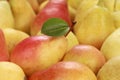 Ripe Pears Royalty Free Stock Photo
