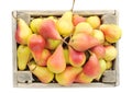 Ripe pears in a box. Royalty Free Stock Photo