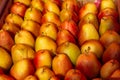 Ripe pears in a box top view. Beautiful red and orange pears stacked in rows Royalty Free Stock Photo