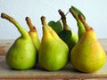 Ripe Pears, Freshly Picked From Garden Tree