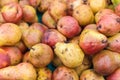 Ripe pears fruits in the market. Food background made from natural pears. Perishable fruits. Selective focus. Blurred