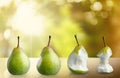 Ripe pears isolated on background