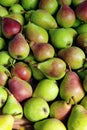 Ripe pears on the market counter. harvest of pears is prepared for sale in the market. Fruit background