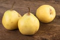 Ripe Pears Royalty Free Stock Photo