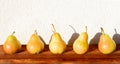 Ripe pears in the straight line, Bright outdoors composition in the sunshine