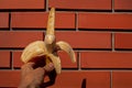 ripe peeled banana held by a woman's hand against