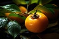 Ripe persimmon with foliage and drops