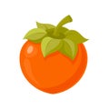 Ripe persimmon fruit on white background. Whole persimmon. Flat illustration Royalty Free Stock Photo
