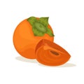 Ripe persimmon with a green leaf. Vector illustration of fruit Royalty Free Stock Photo