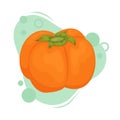 Ripe persimmon with a green leaf. Vector illustration of fruit Royalty Free Stock Photo