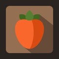 Ripe persimmon icon in flat style Royalty Free Stock Photo