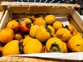 Ripe persimmons are in a box in the store Royalty Free Stock Photo