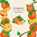 Ripe persimmons, slices. Royalty Free Stock Photo